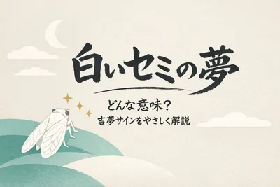 白いセミの夢ってどんな意味？吉夢サインをやさしく解説