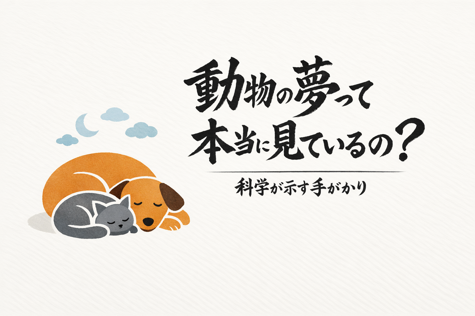 動物の夢って本当に見ているの？科学が示す手がかり