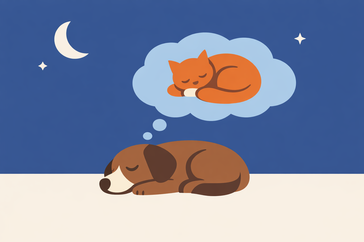 動物の夢はレム睡眠中に起きている可能性が高いんですね